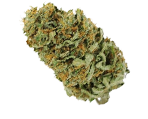 Amnesia Haze - nasiona marihuany, konopi
