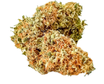 Banana Kush - nasiona marihuany, konopi