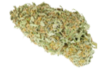 Big Bud - nasiona marihuany, konopi