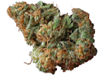 Blue Cheese - nasiona marihuany, konopi