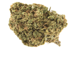 Blue Dream - nasiona marihuany, konopi