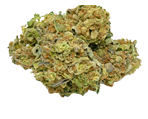 Bruce Banner - nasiona marihuany, konopi