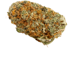 Girl Scout Cookies - nasiona marihuany, konopi