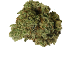 Gorilla Glue - nasiona marihuany, konopi