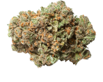 Green Crack - nasiona marihuany, konopi