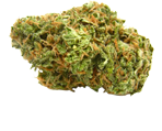 Hindu Kush - nasiona marihuany, konopi