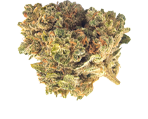 Lemon Haze - nasiona marihuany, konopi