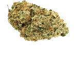 OG Kush - nasiona marihuany, konopi