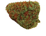 Orange Bud - nasiona marihuany, konopi