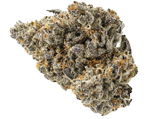 Purple Punch - nasiona marihuany, konopi