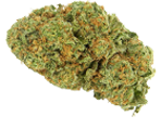 Zkittlez - nasiona marihuany, konopi