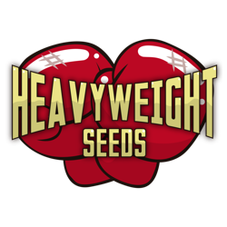 HEAVYWEIGHT SEEDS HEAVYWEIGHT SEEDS