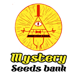 MYSTERY SEEDS MYSTERY SEEDS