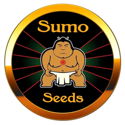 SUMO SEEDS SUMO SEEDS