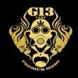 G13 Labs G13 Labs