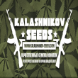 Kalashnikov Seeds Kalashnikov Seeds