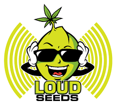 Loud Seeds Loud Seeds