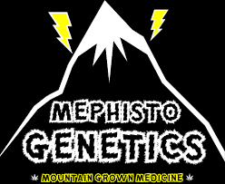 Mephisto Genetics Mephisto Genetics