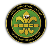 Vip Seeds Vip Seeds