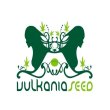 Vulkania Seeds Vulkania Seeds