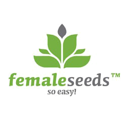 Female Seeds Female Seeds