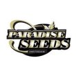 Paradise Seeds Paradise Seeds