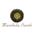 Mandala Seeds Mandala Seeds