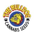 The Bulldog Seeds The Bulldog Seeds