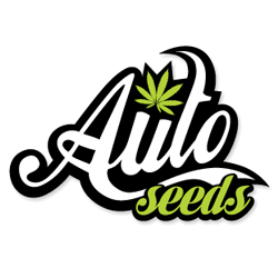 Auto Seeds Auto Seeds