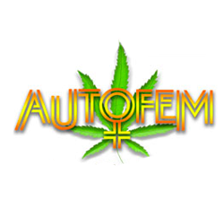 Autofem Autofem