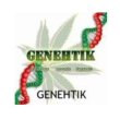 Genehtik Genehtik