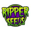 Ripper Seeds Ripper Seeds