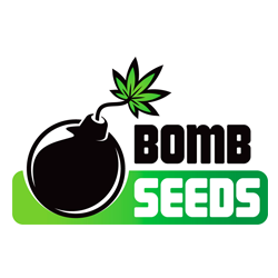 Bomb Seeds