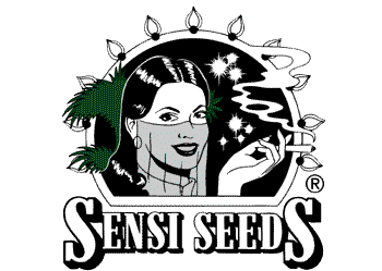 SensiSeeds Sensi Seeds