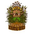 Exotic Seeds Exotic Seeds