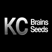 KC Brains KC Brains