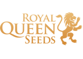 Royal Queen Royal Queen Seeds