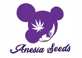 Anesia Seeds anesia seeds